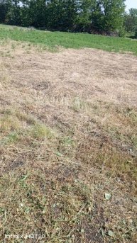 Наконец ,скосили!