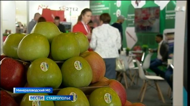 В Минводах проходит третий день международной выставки «Сады России Про Яблоко 2025»