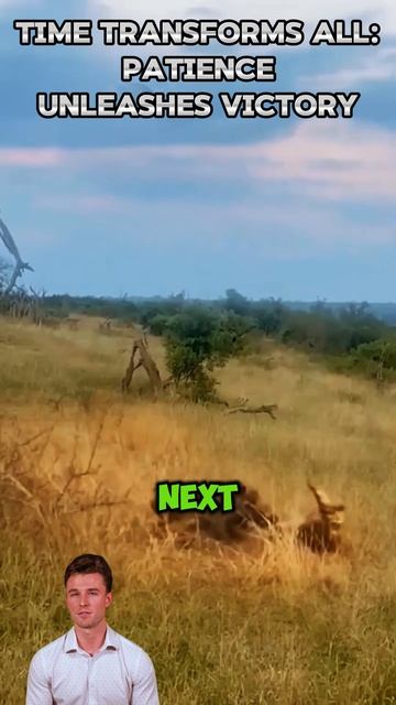 U8RorLscwXg - Time Transforms All： Patience Unleashes Victory #shorts #animals #viral #facts #wildli