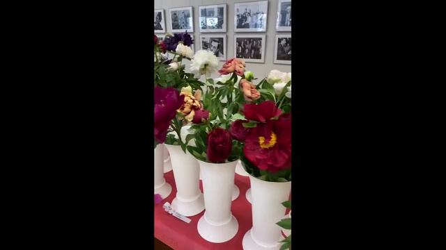 Ирисы Натальи и первый фестиваль ирисов и пионов в Тольятти.
