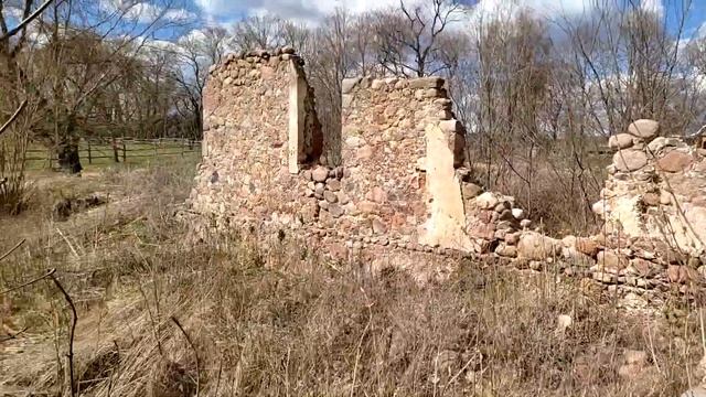 Old Zhirovichi   Ruins of the Soltanov estate