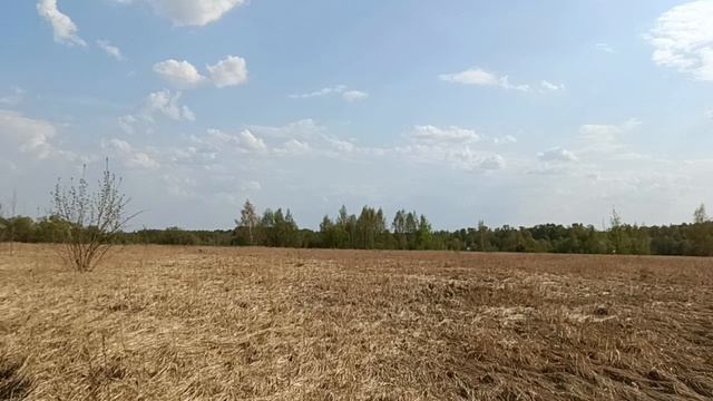 д. Максимовка