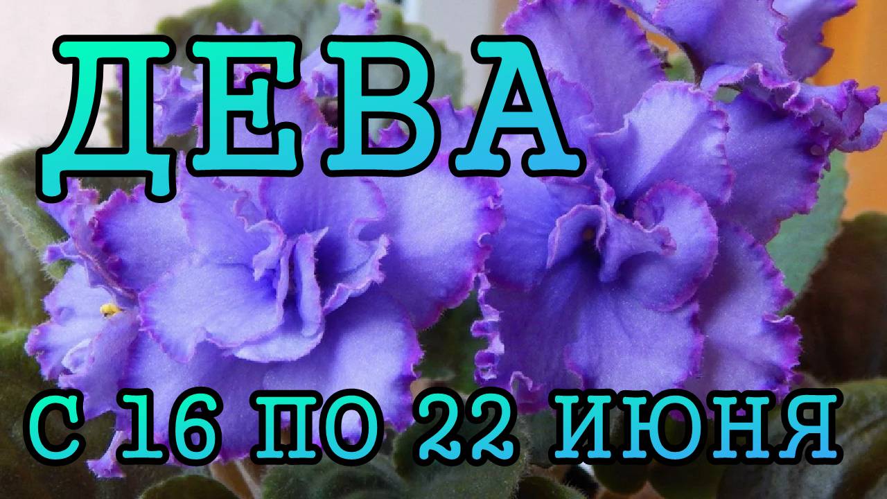 ДЕВА таро прогноз на неделю с 16 по 22 ИЮНЯ 2025 года.
