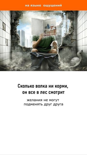 Сколько волка ни корми