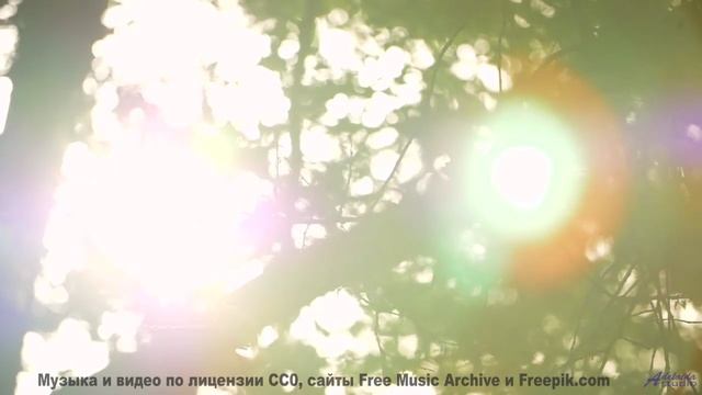 Музыка, которая звучит как обещание 'мы вернёмся сюда ещё раз' - Teamwork -- Scott Holmes Music -- C