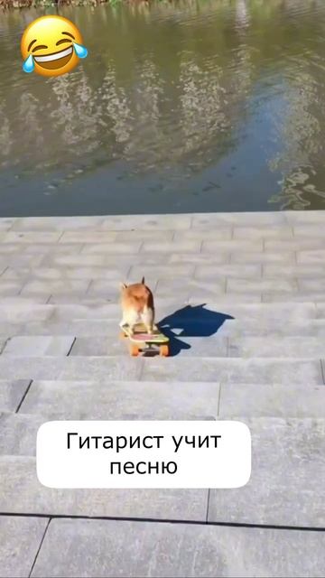 Гитарист учит песню