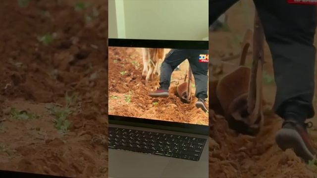 Ксюша Бородина высказалась не только про подписчиков, но и про участников шоу 🤪
