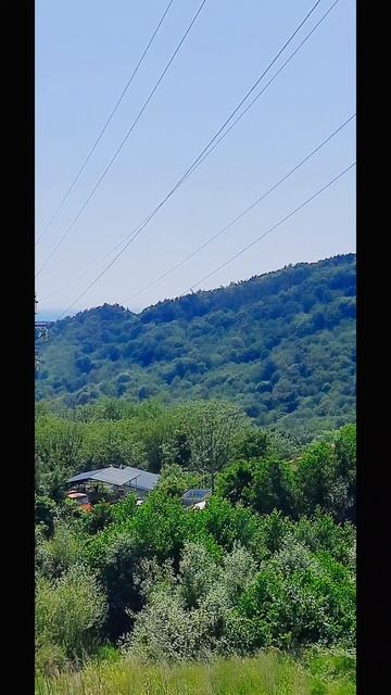 Вид с Молдовки на Бестужевку и Адлер.10-06-2025