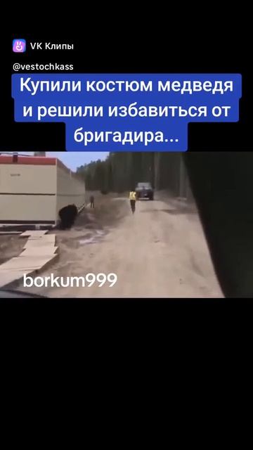 clip-192455267_456253005