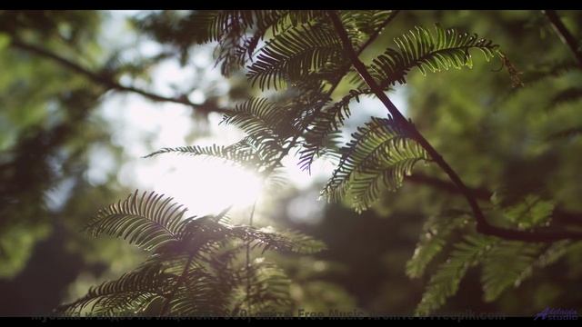 Эти пейзажи и музыка выносят мозг моментально - Track 07 -- Berbere Superstar -- The Best Things Are