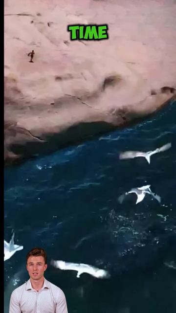 BKr0PYPuWVw - ＂Into the Abyss＂ #shorts #animals #wildlife #duet #viral #facts #nature #animalslover