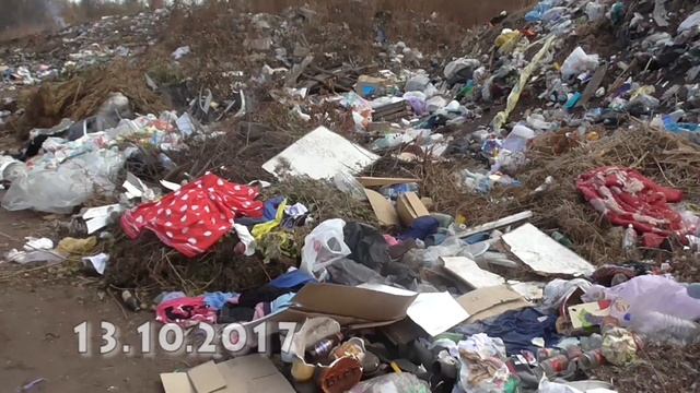 Свалка в Бузулукском бору 13.10.2017