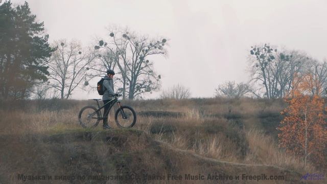 Кадры природы, которые выглядят как фантастика! - Steady Ships -- Ketsa -- The Lost Files