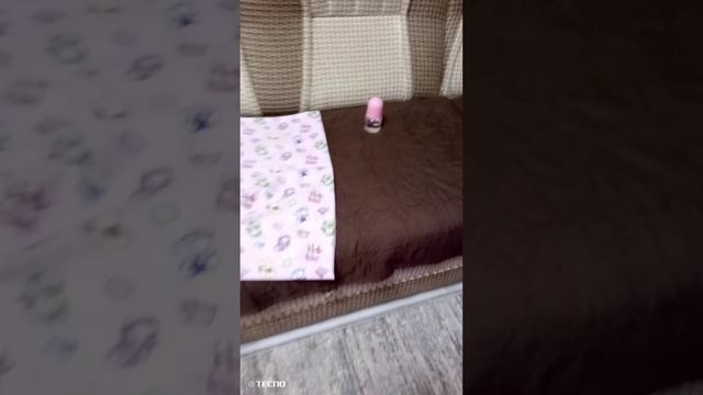 1000013789.mp4