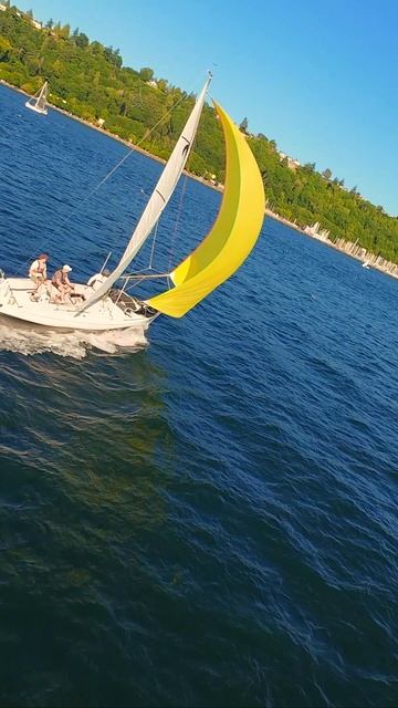 ⛵ Регата в Сиэтле — жёлтый парус врывается вперёд!