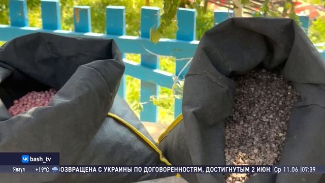 Шоу "Салям". Сюжет Кушнаренково Сабантуй