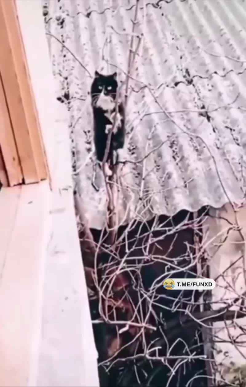 Миссия выполнена!😄