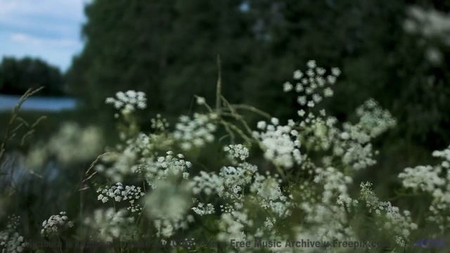 Это место НЕ ЛЮБИТ гостей! - DJ Millenium -- New Millennium String Band -- NMSB