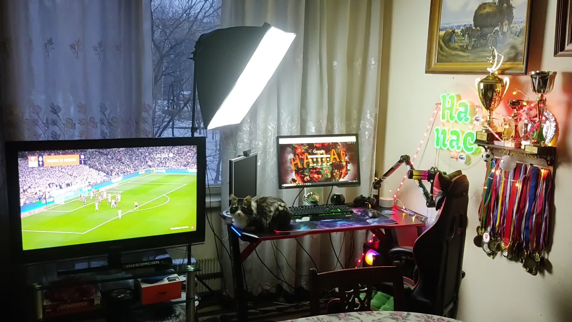 Вечерний стрим