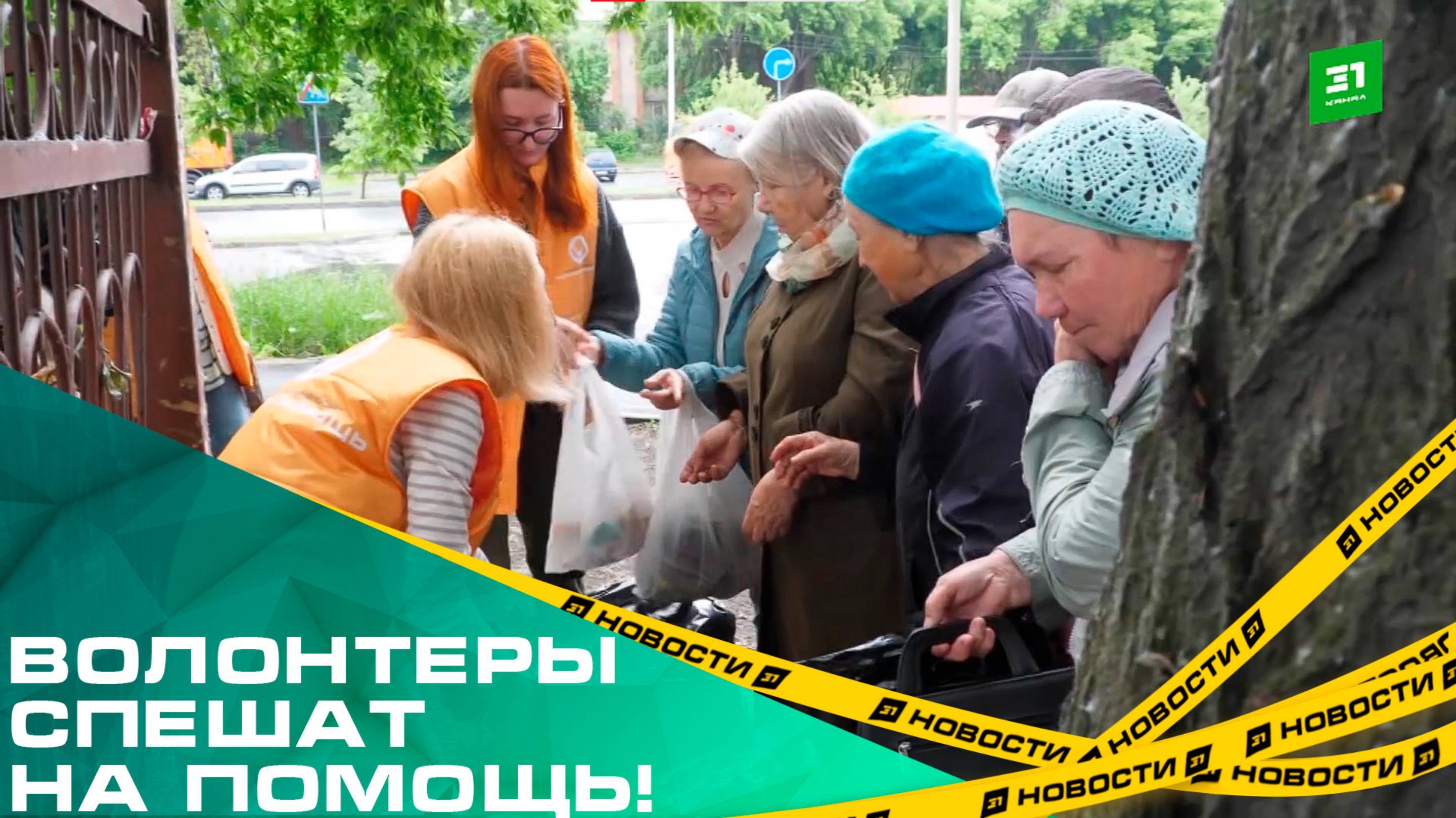Волонтёры спешат на помощь. Кто лечит, кормит и одевает бездомных Челябинска