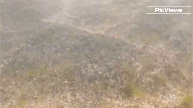Погода в Анапе сегодня 11 июня 2025. Центральный пляж. Обстановка на пляже, море и погода сейчас