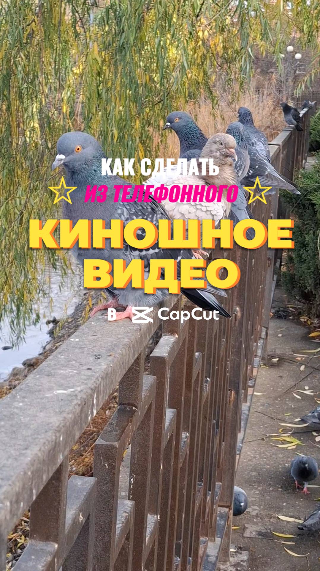 ✅ Как превратить телефонное видео в киношную атмосферу?