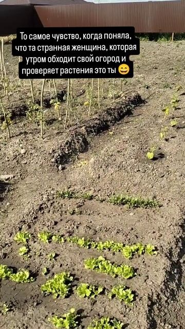 Возраст понимаете ли...