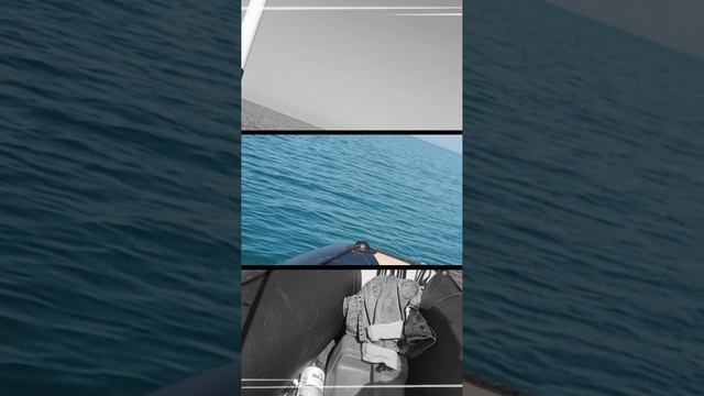 1000090459.mp4