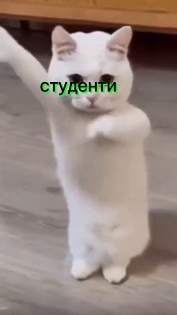 Пов когда начинается лето