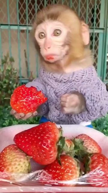 VID_20250611_113926_790.mp4