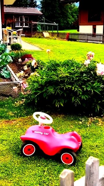 Всё на камеру