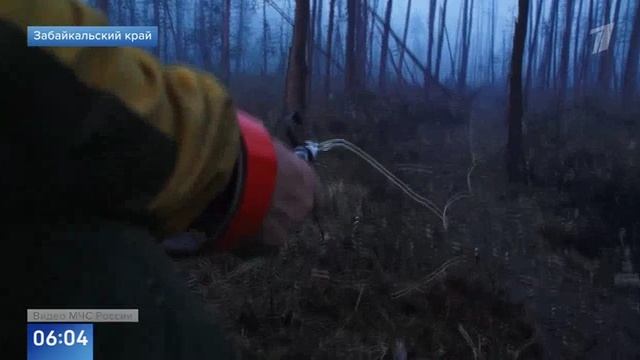 Первый канал , 11 июня 2025
Авиалесоохрана в Забайкалье с начала июня потушила 21 лесной пожар