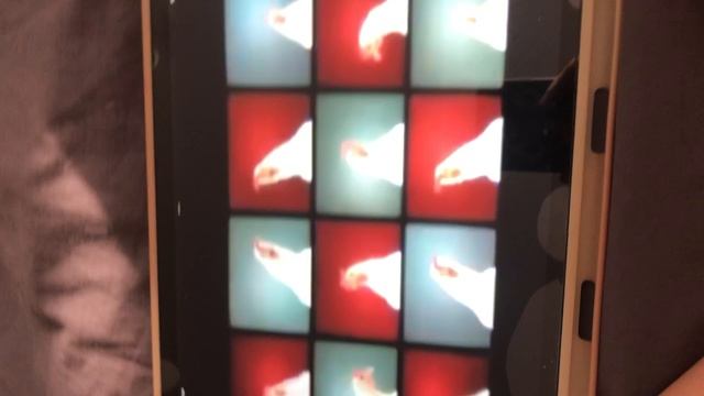 Танец смешных куриц2
