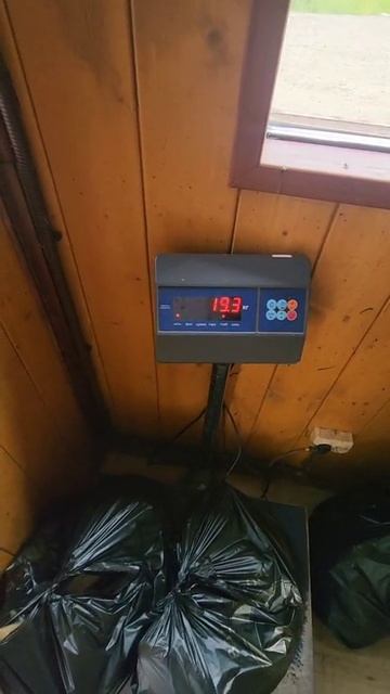11-06-2025