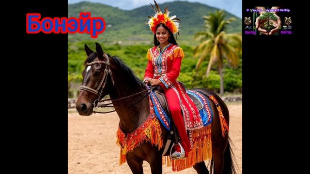 Бонэйр