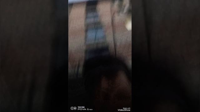 мы пошли от самолёта домой моего одноклассника играли в итальянские мемы изменения