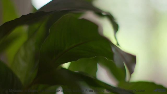 Видео, которое можно понять только с расширенным сознанием - испытайте! - Reflejo -- Mar Virtual --