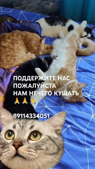 ЧЕЛОВЕК ПОМОГИ 🙏🆘