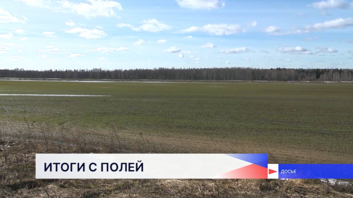 Весенний сев сельскохозяйственных культур практически полностью завершился в Нижегородской области