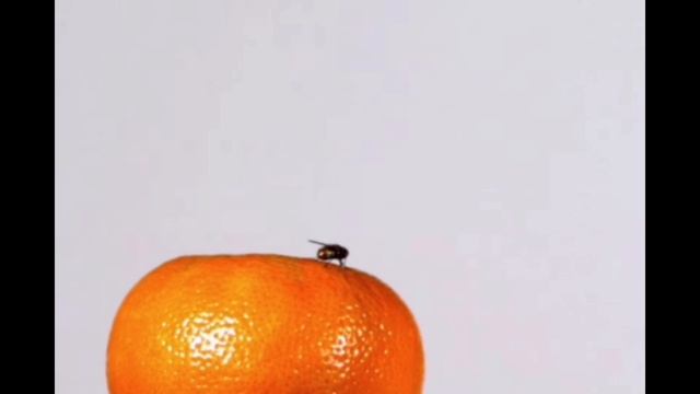 Хорошая реакция