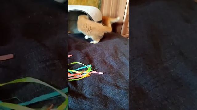 1000254649.mp4