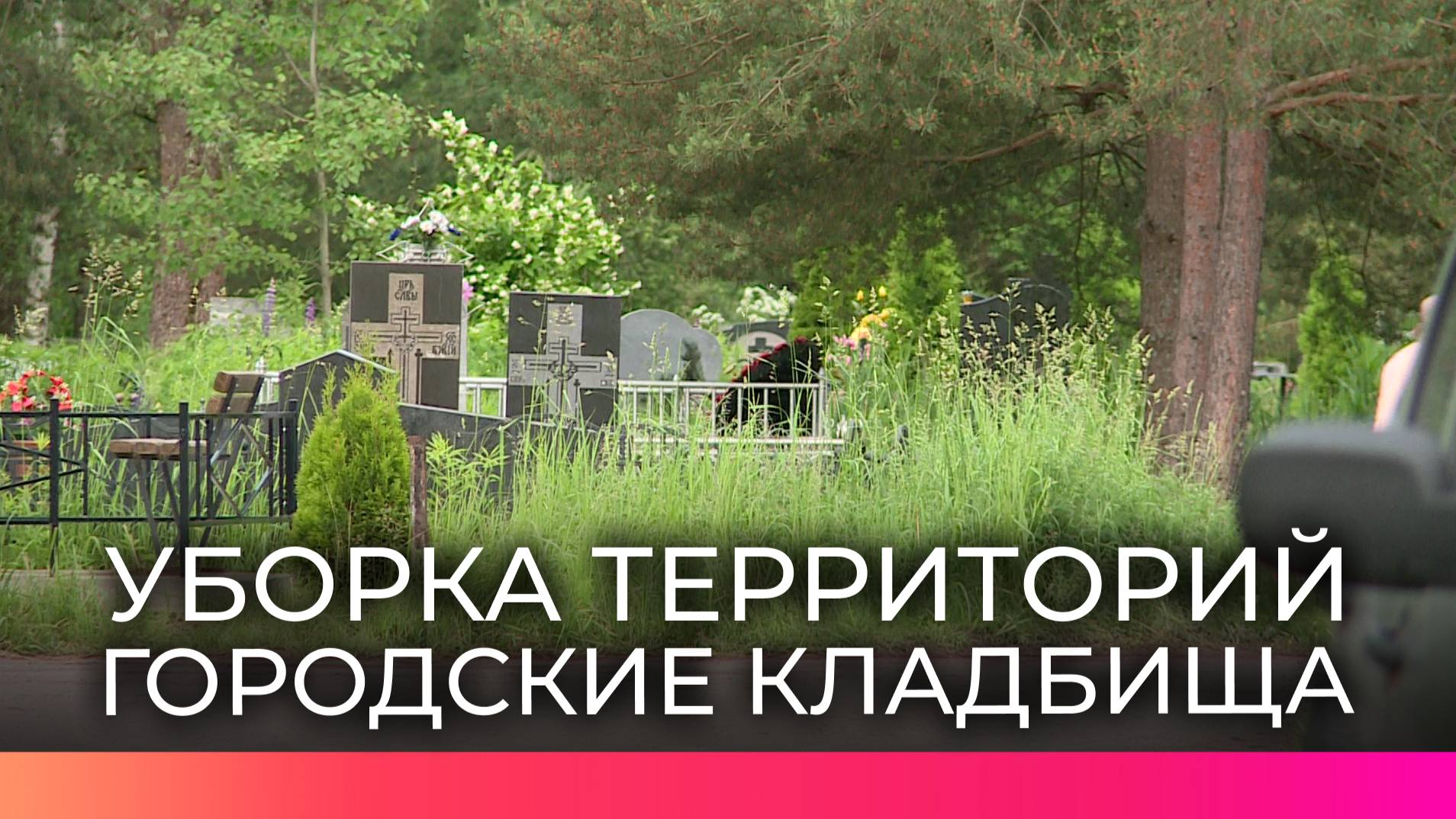«Городское хозяйство» очищает кладбища Великого Новгорода от стихийных свалок