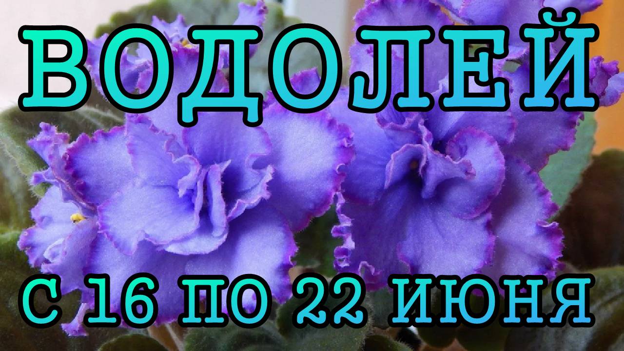 ВОДОЛЕЙ таро прогноз на неделю с 16 по 22 ИЮНЯ 2025 года.