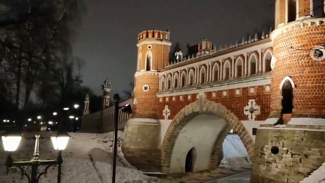 Мы в Москве  ( Музей - заповедник " Царицыно " )  январь 2025