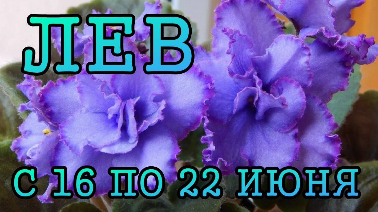 ЛЕВ таро прогноз на неделю с 16 по 22 ИЮНЯ 2025 года.