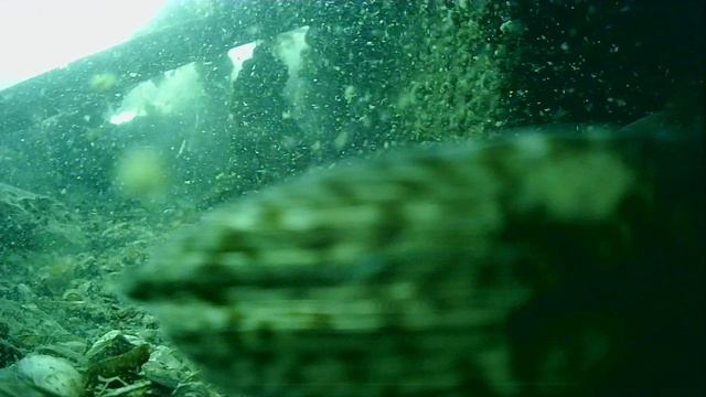 1000044526.mp4Волга гл.5м.11.06.2025г.