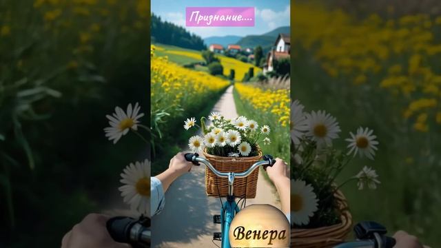 Shorts Нейро Музыка"Я не могу жить дальше без тебя" на стихи В.Коряковцева#музыка#стихи#нейро