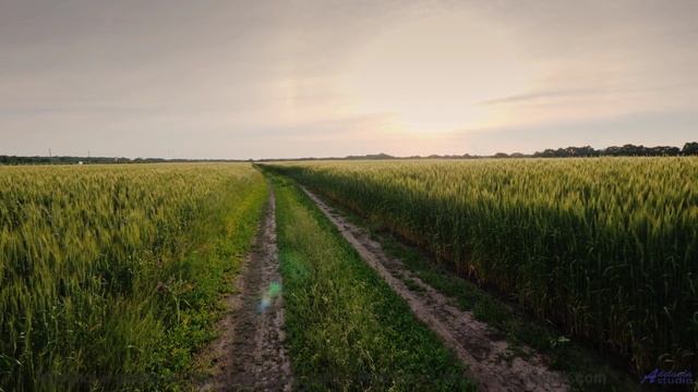 Эта мелодия - как мост между двумя душами... - Changes -- Jim Hall -- MishMash EP
