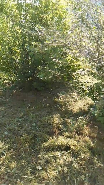 так и работаем