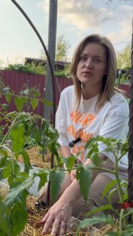 Фитофтора не страшна, если делать так! #татьянинсад